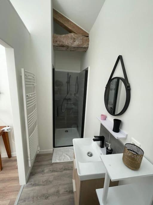 Maison Les Iris - 3 Chambres Et 3 Salles De Bain - 3 A 6 Personnes - Futuroscope Avanton المظهر الخارجي الصورة